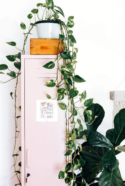 The Skinny Locker In Blush by Mustard Made