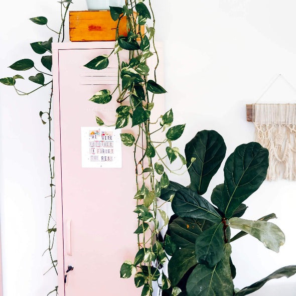The Skinny Locker In Blush by Mustard Made