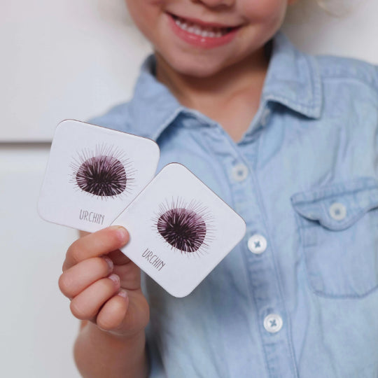 Sea urchin card