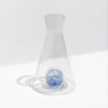 Vice Versa Carafe in Clear + Blue by Fazeek