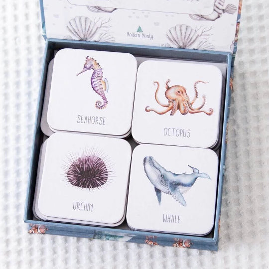 Ocean box set