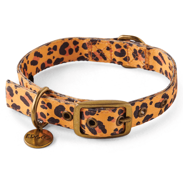 Tarzan Dog Collar by Kip&Co