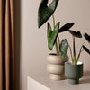 Medium Fergus Planter in Olive