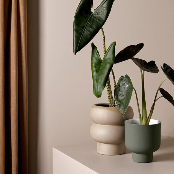 Medium Fergus Planter in Olive