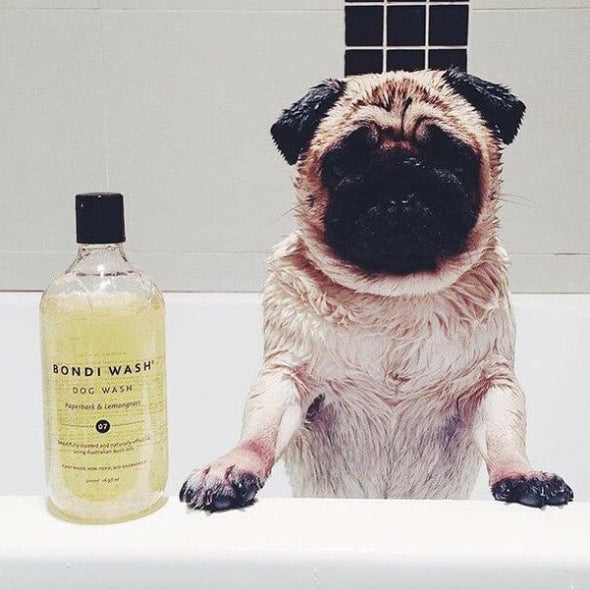 Bondi wash natural dog wash