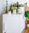 SHORTY LOCKER IN WHITE BY MUSTARD MADE
