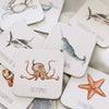 Ocean cards